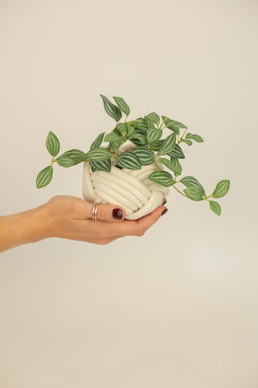 Mini Unbound Planter White