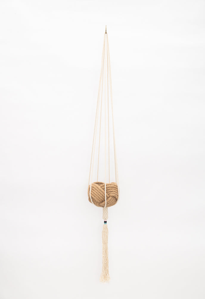 The Dignity Plant Hanger - Blush