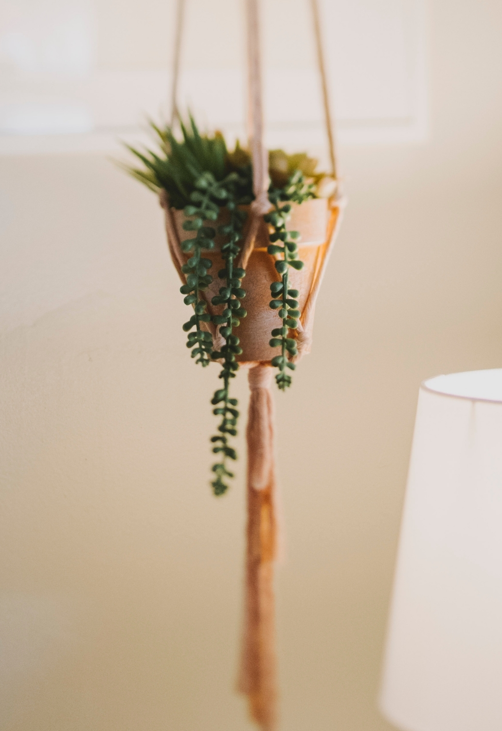 Flourish Plant Hanger Blush