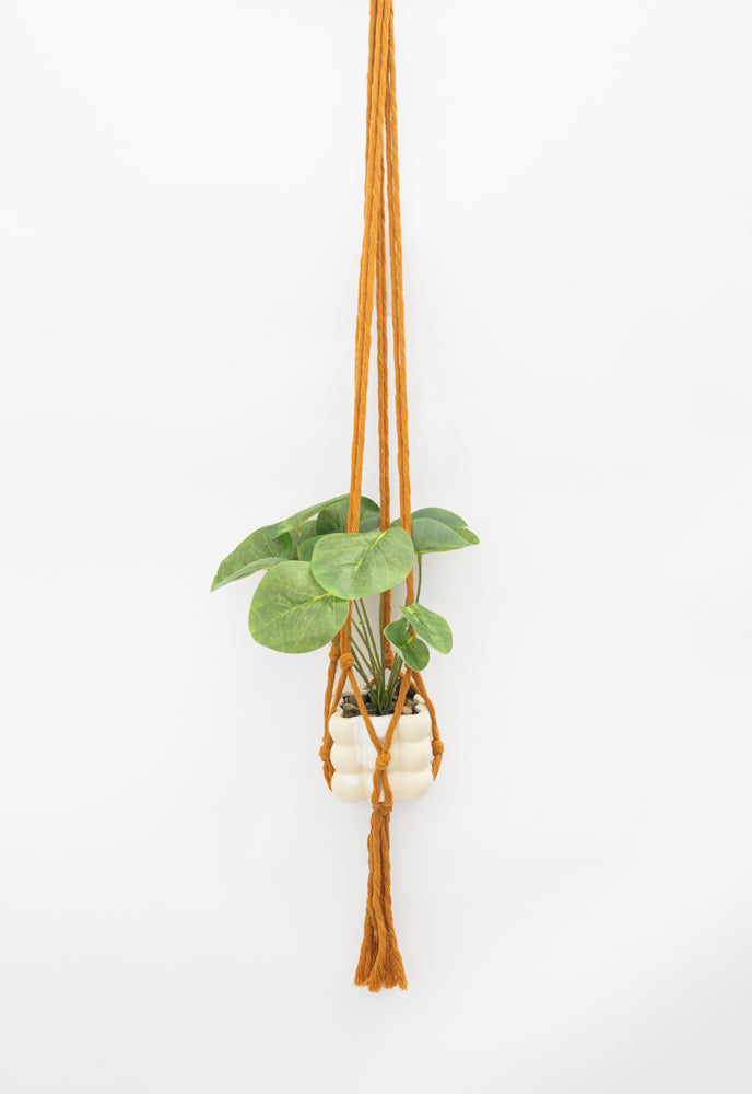 Flourish Plant Hanger Mustard