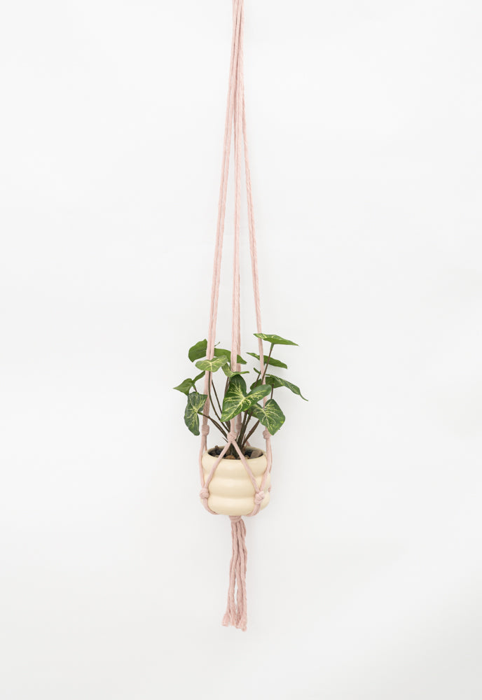 Flourish Plant Hanger Lavender