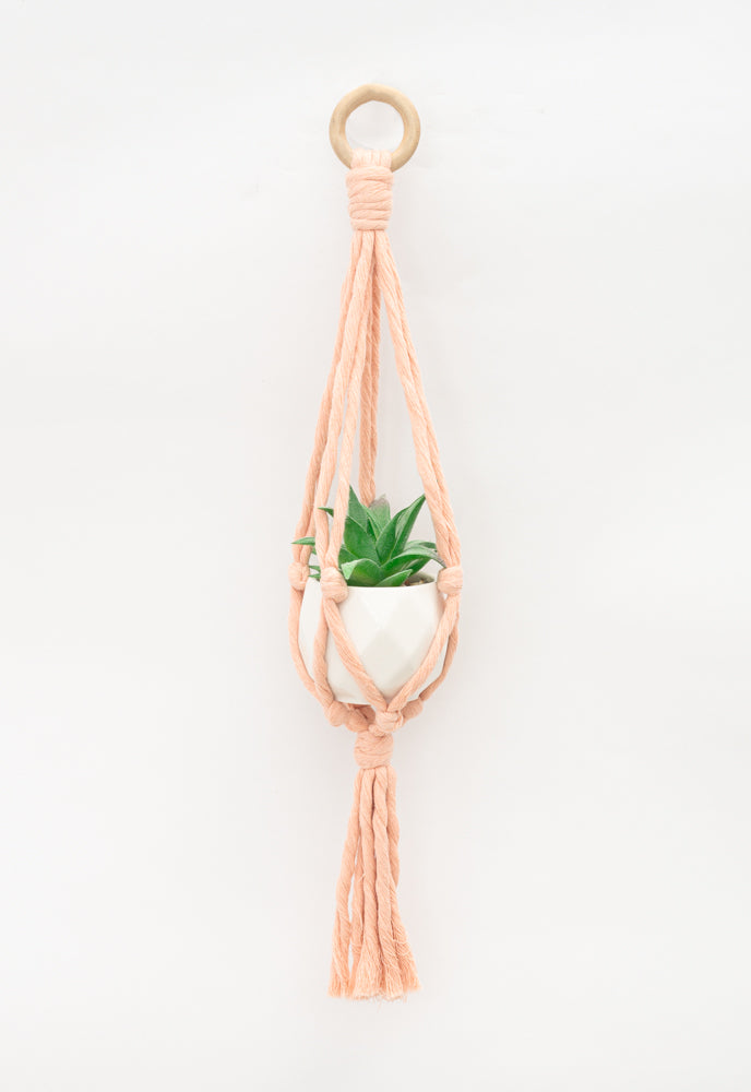 Mini Flourish Plant Hanger Blush