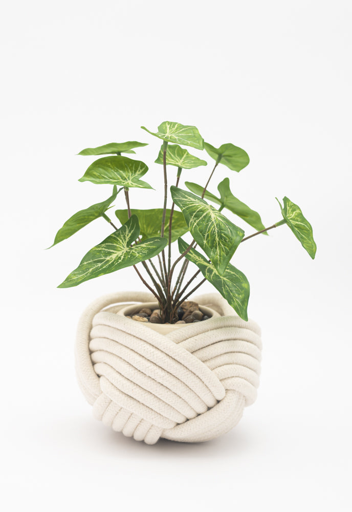 Unbound Planter White