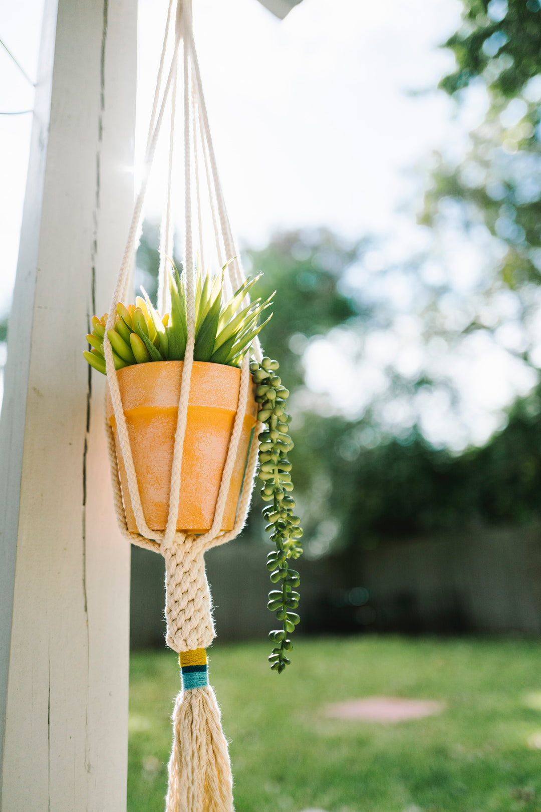 The Dignity Plant Hanger - Mustard