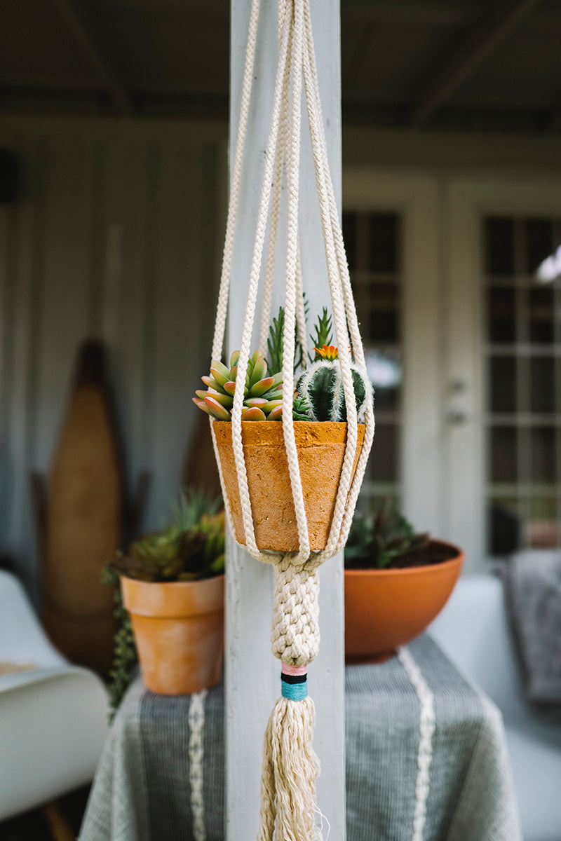 The Dignity Plant Hanger - Blush