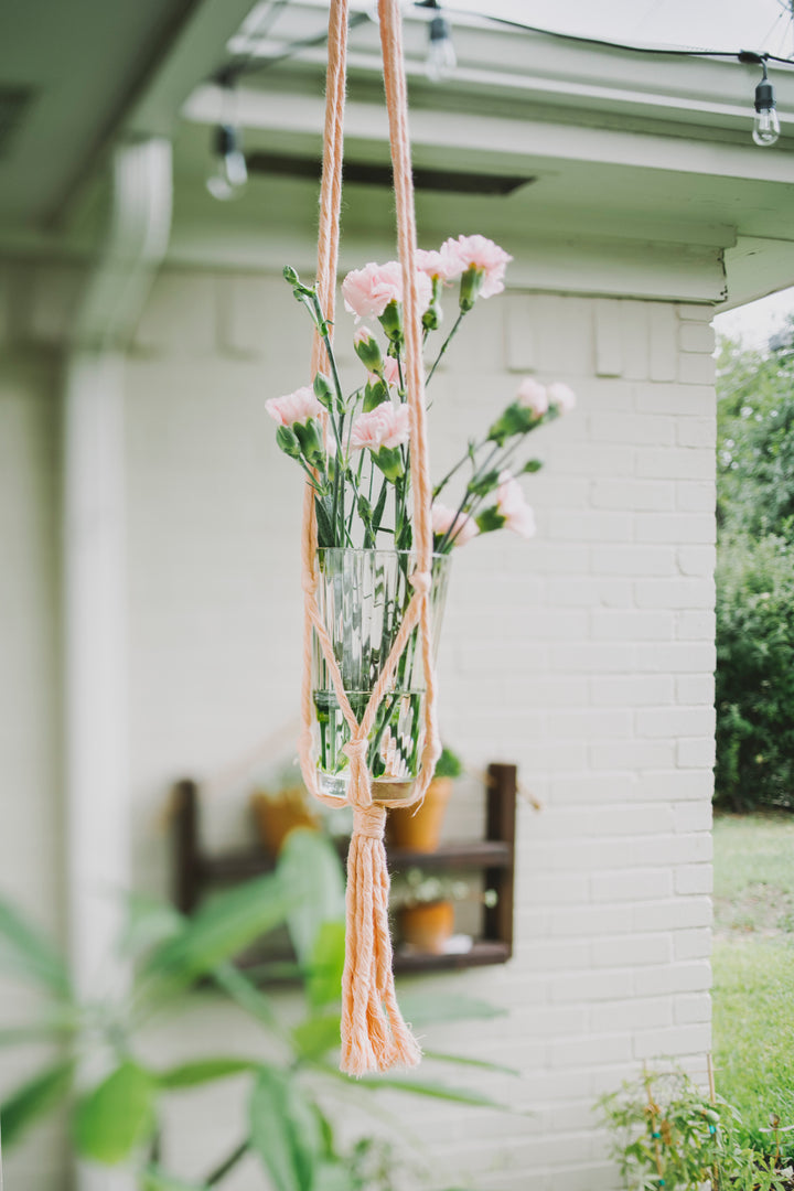 Flourish Plant Hanger Blush