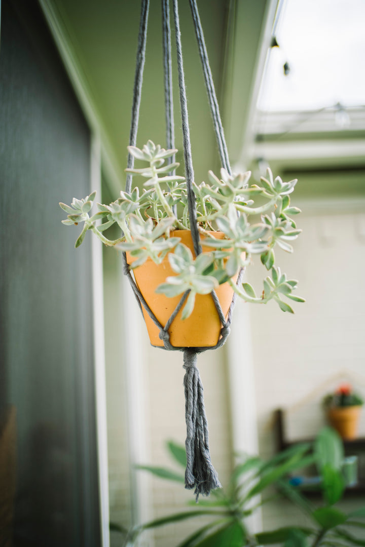 Flourish Plant Hanger Blue Grey